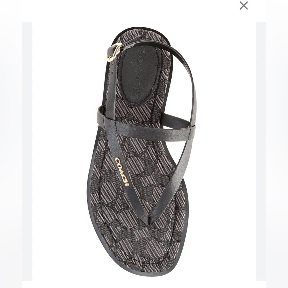 COACH
Women's Josie Strappy Flat Sandals in black - Picture 6 of 7